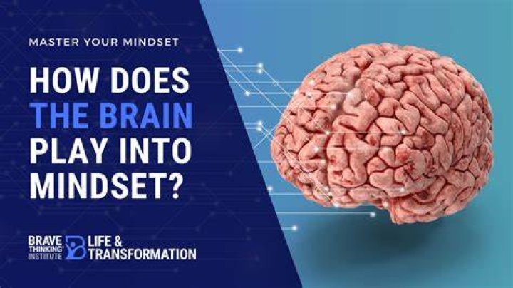 How does the brain play into mindset answer?