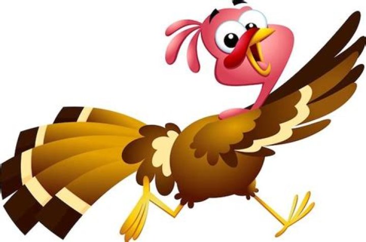 How fast can a scared Turkey Run?