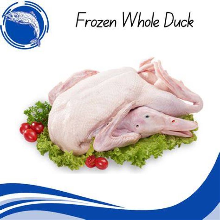 How long can you keep a frozen duck?