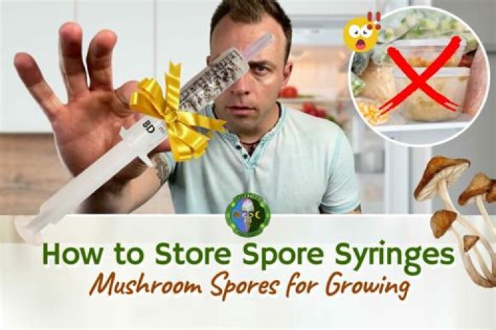How long do spore syringes last in the fridge?