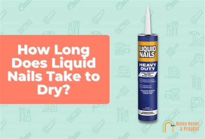 How long does it take for Liquid Nails to set?