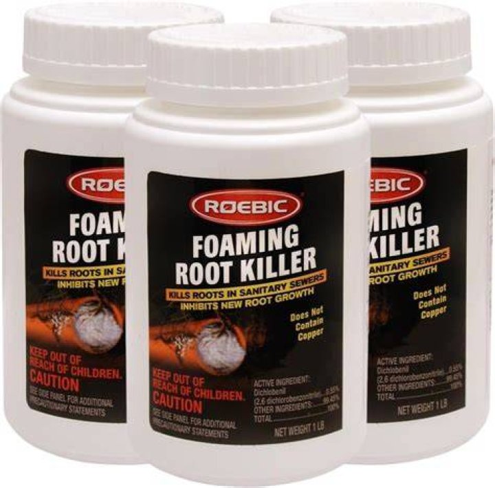 How long does it take for Roebic foaming root killer to work?