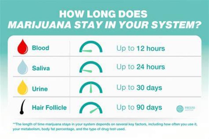 How long does it take to fill a 12×30 pool?