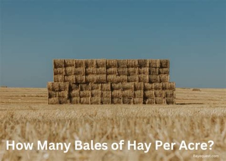 How many bales do you get per acre?