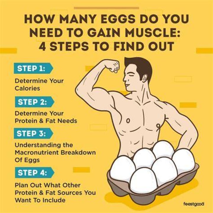 How many eggs a day should a teenager eat?