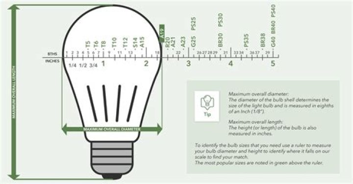 How many Hertz is a light bulb?