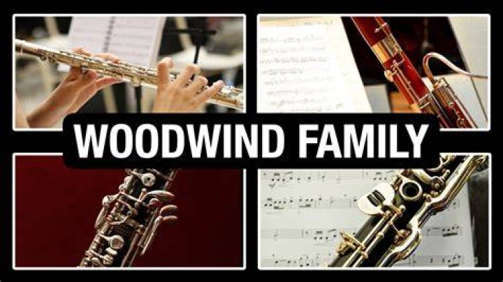 How many instruments are in the woodwind family?