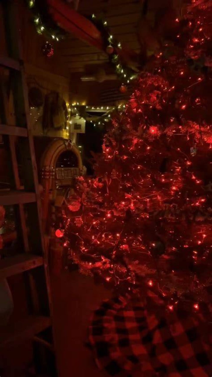 How many lights are on the tree?