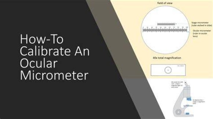 How many ocular units are in a micrometer?