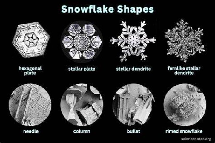 How many points does a snowflake have?