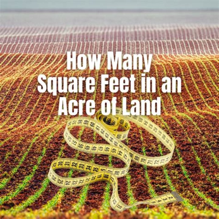 How many square feet are in a roll of insulation?