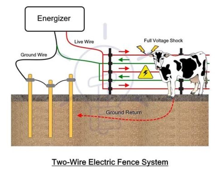 How many strands of electric fence do I need for goats?