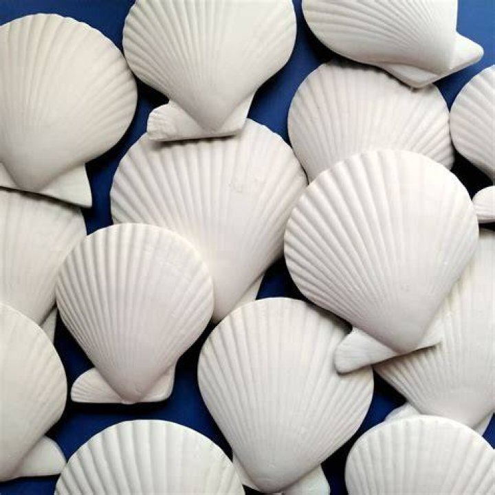 How much are handmade shells for TC?