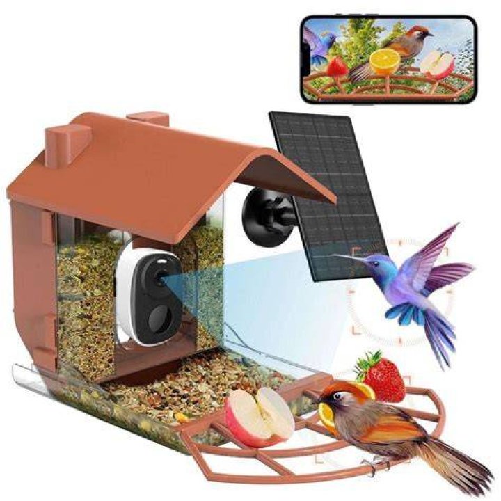 How much do wild birds eat?