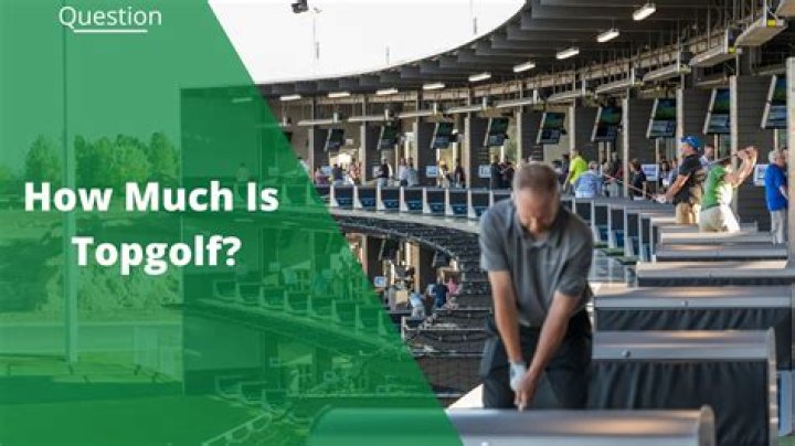 How much does a Topgolf make a year?