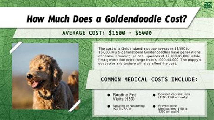 How much does Golden Pan cost?