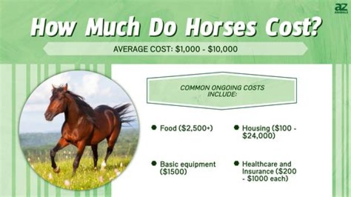 How much does it cost to ride the Heartland Flyer?