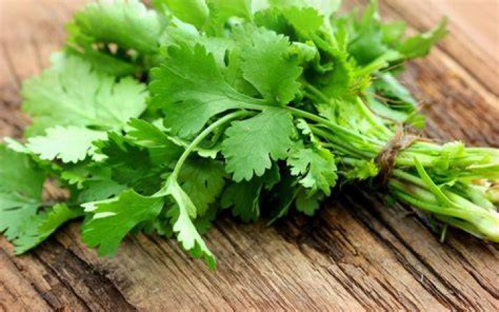 How much dried cilantro equals a bunch fresh?
