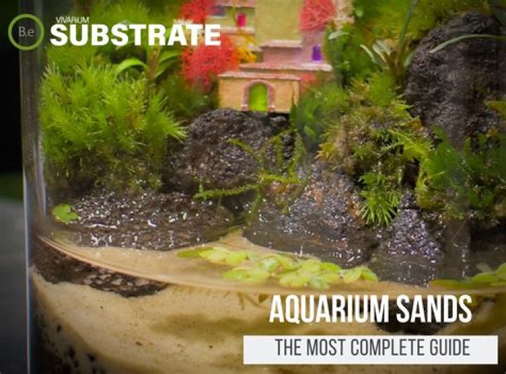 How much gypsum do I add to mushroom substrate?