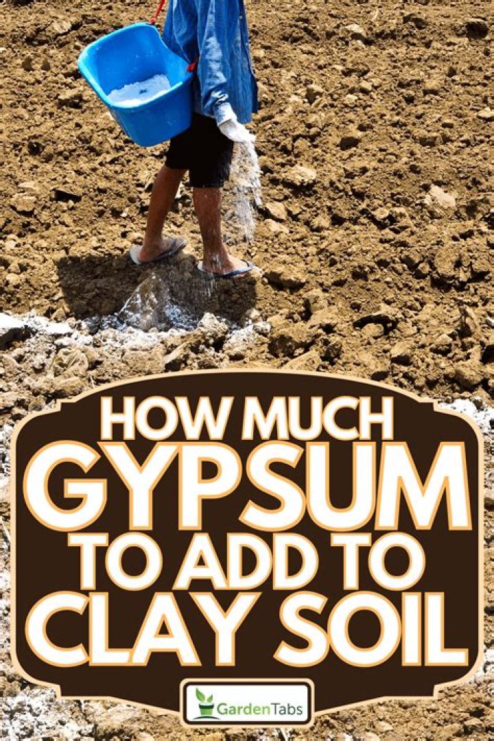 How much gypsum does it take to break up clay soil?