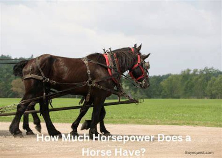 How much horsepower does a ls4 have?