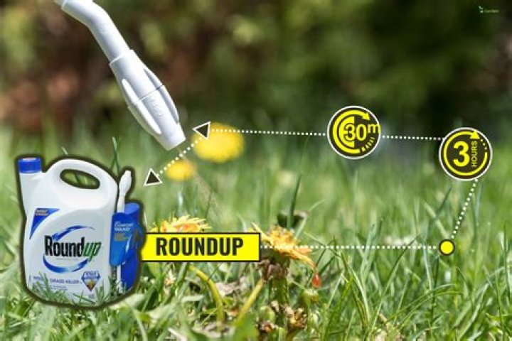 How much Roundup do I need for 25 gallons?