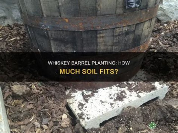 How much soil does a half barrel hold?