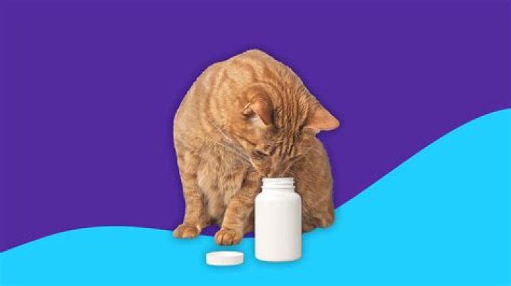 How much veraflox do I give my cat?