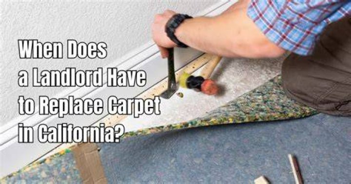 How often does a landlord have to replace carpet in Georgia?