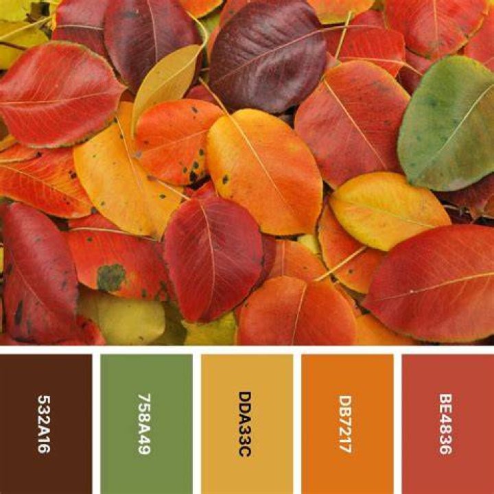 How would you describe fall colors?