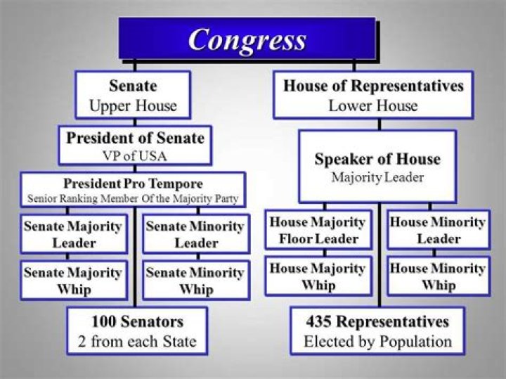 In which house of Congress must revenue bills originate why quizlet?