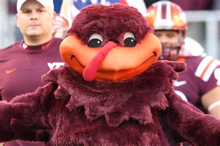 Is a Hokie a turkey?