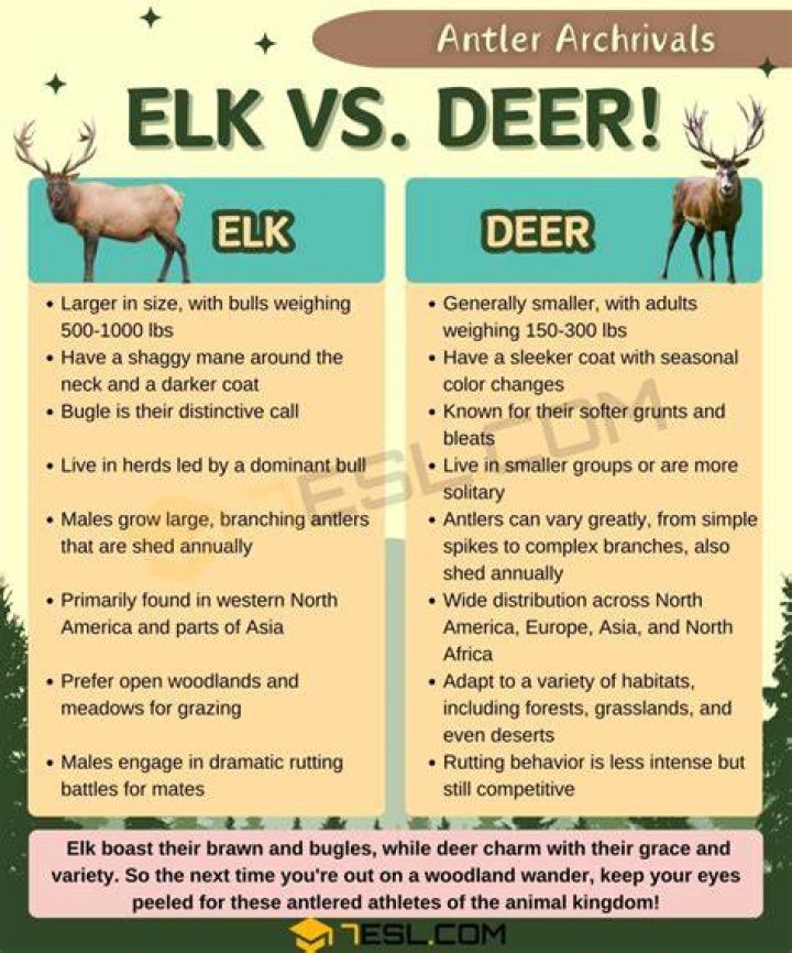 Is baiting deer and elk legal in Oregon?