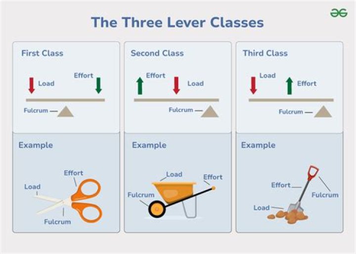 Is hammer a first class lever?