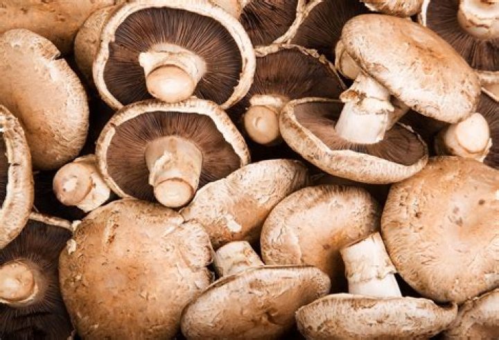 Is it safe to eat mushrooms with mold on them?