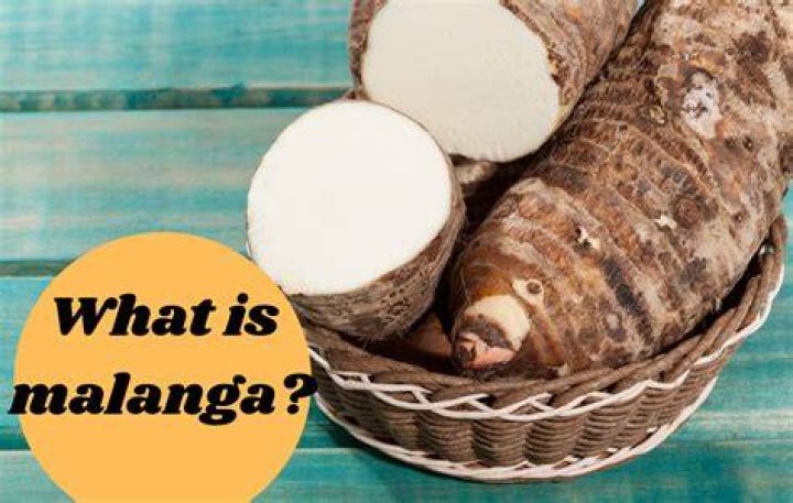 Is Malanga the same as Yautia?