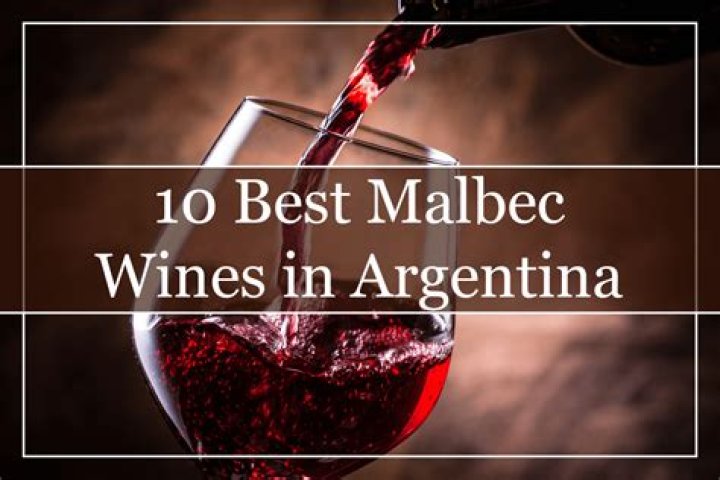 Is Malbec a Spanish wine?