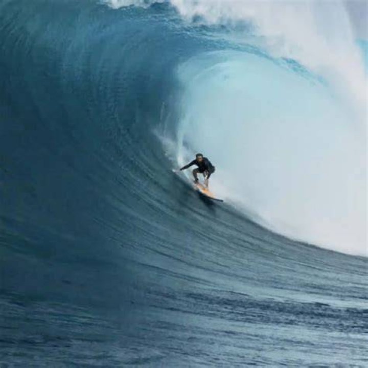 Is malina birch a real surfer?