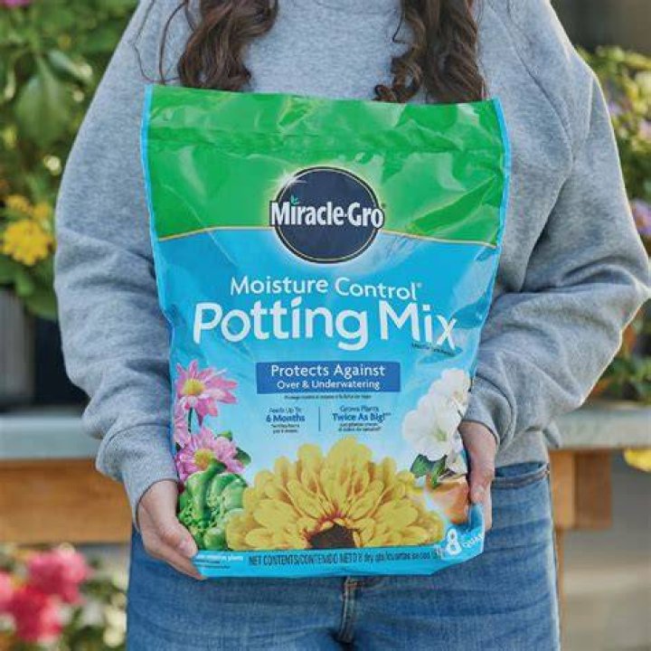 Is Miracle Gro Moisture Control good for succulents?