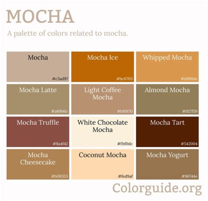 Is Mocha a warm or cool color