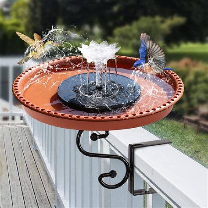 Is polyurethane safe for bird baths?
