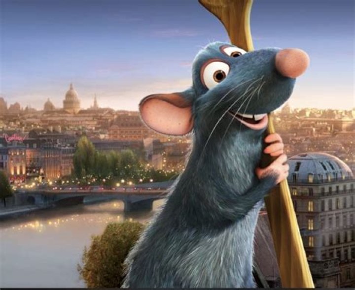 Is Ratatouille a true story?