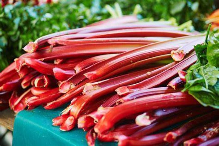 Is rhubarb good for diabetics?