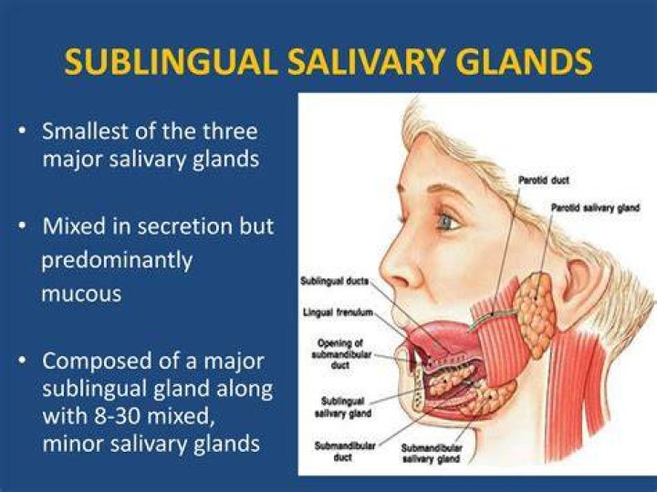 Is sublingual the same as quick dissolve?