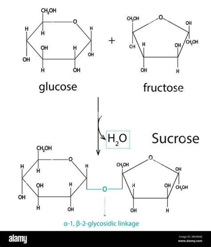 Is sucrose soluble in ethyl acetate?