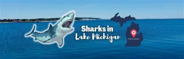 Is there sharks in Lake Chelan?