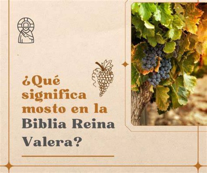 ¿Qué significa la palabra meollo en la Biblia?