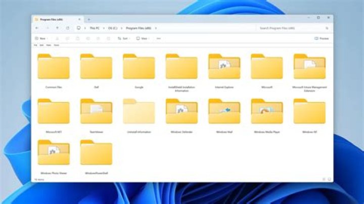 unp folder in program files?