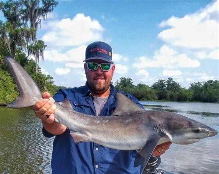 Was a bull shark caught in lake hartwell?