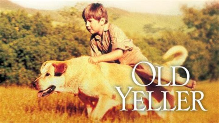 Was Old Yeller based on a true story?